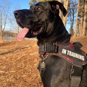 Meet your Posher, Jeri